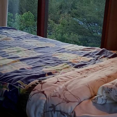 Hostal Quillelhue Pucon Bagian luar foto